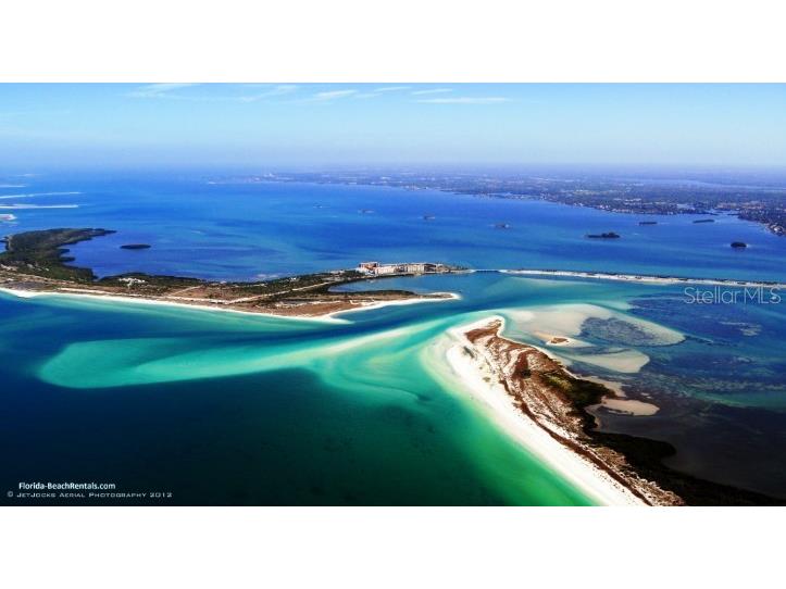 1874 Havenly Ridge Palm Harbor FL 34684 A4667658 image26