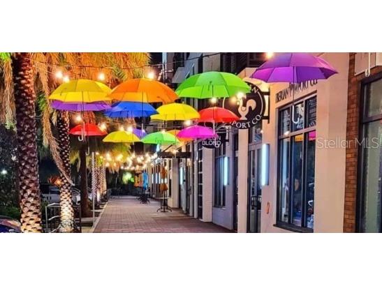 1874 Havenly Ridge Palm Harbor FL 34684 A4667658 image27