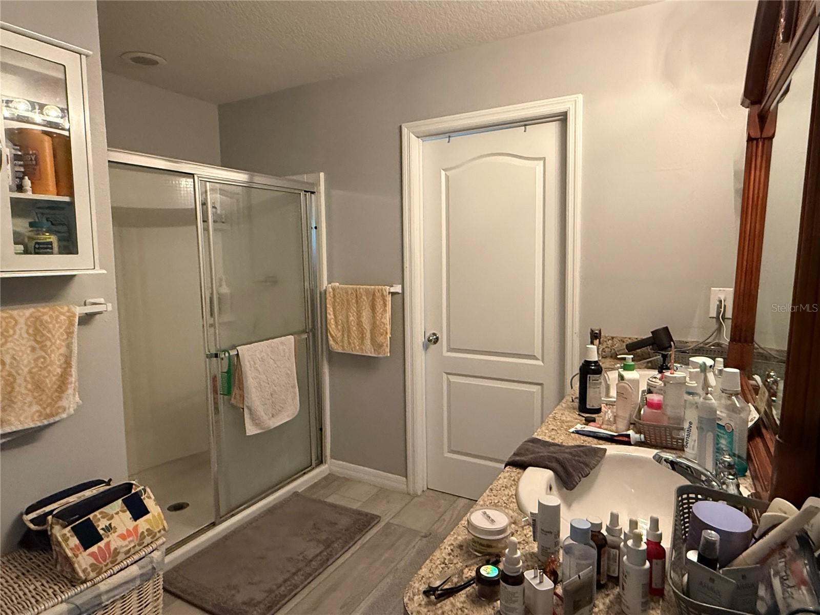 1874 Hickory Bluff Road Kissimmee FL 34744 O6398896 image10