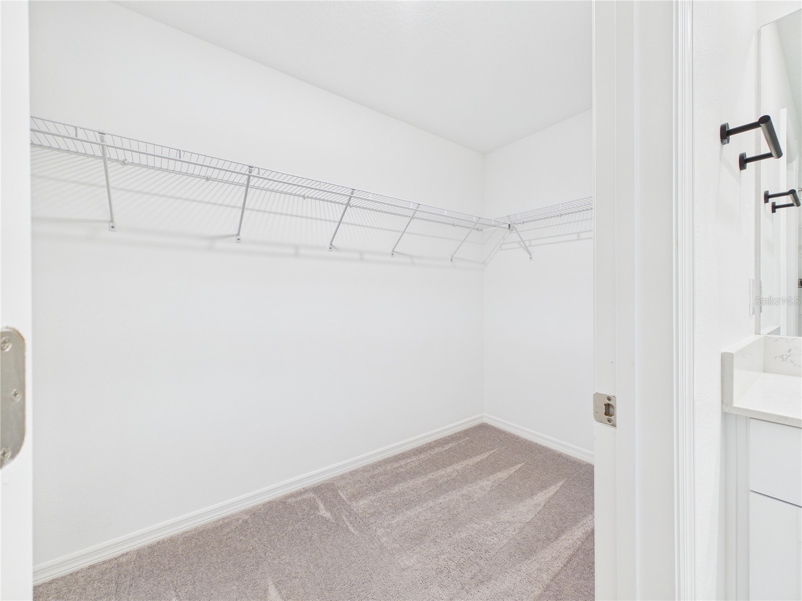 1874 Lanier Road Zephyrhills FL 33541 TB8498433 image38