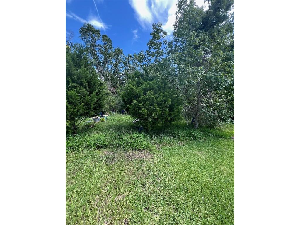 18741 Plains Road Aripeka FL 34679 O6329286 image1