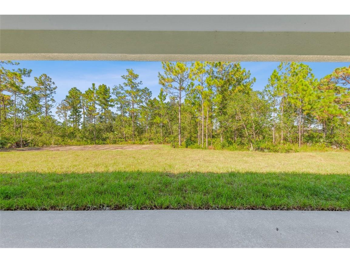 18743 Overton Street Orlando FL 32833 O6307580 image30