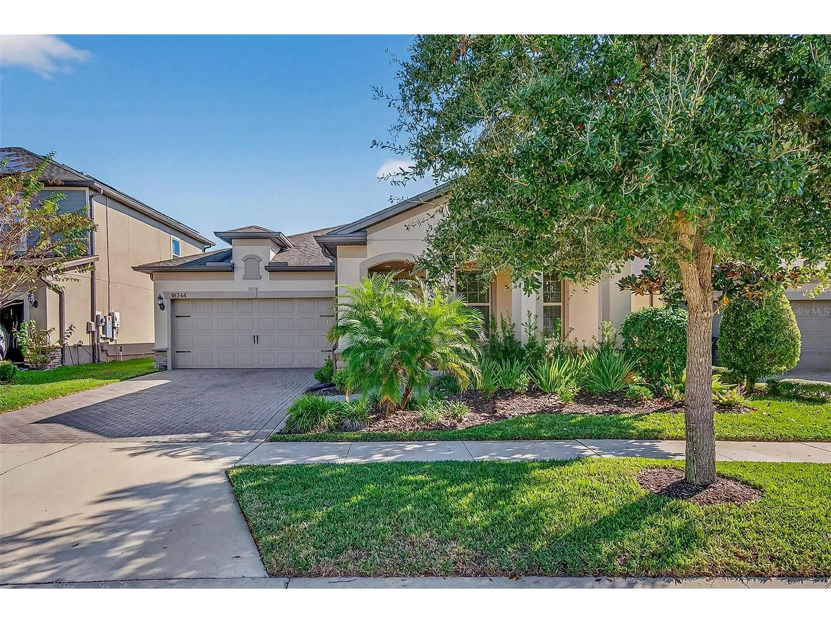 18744 Birchwood Groves Drive Lutz FL 33558 TB8509220 image2