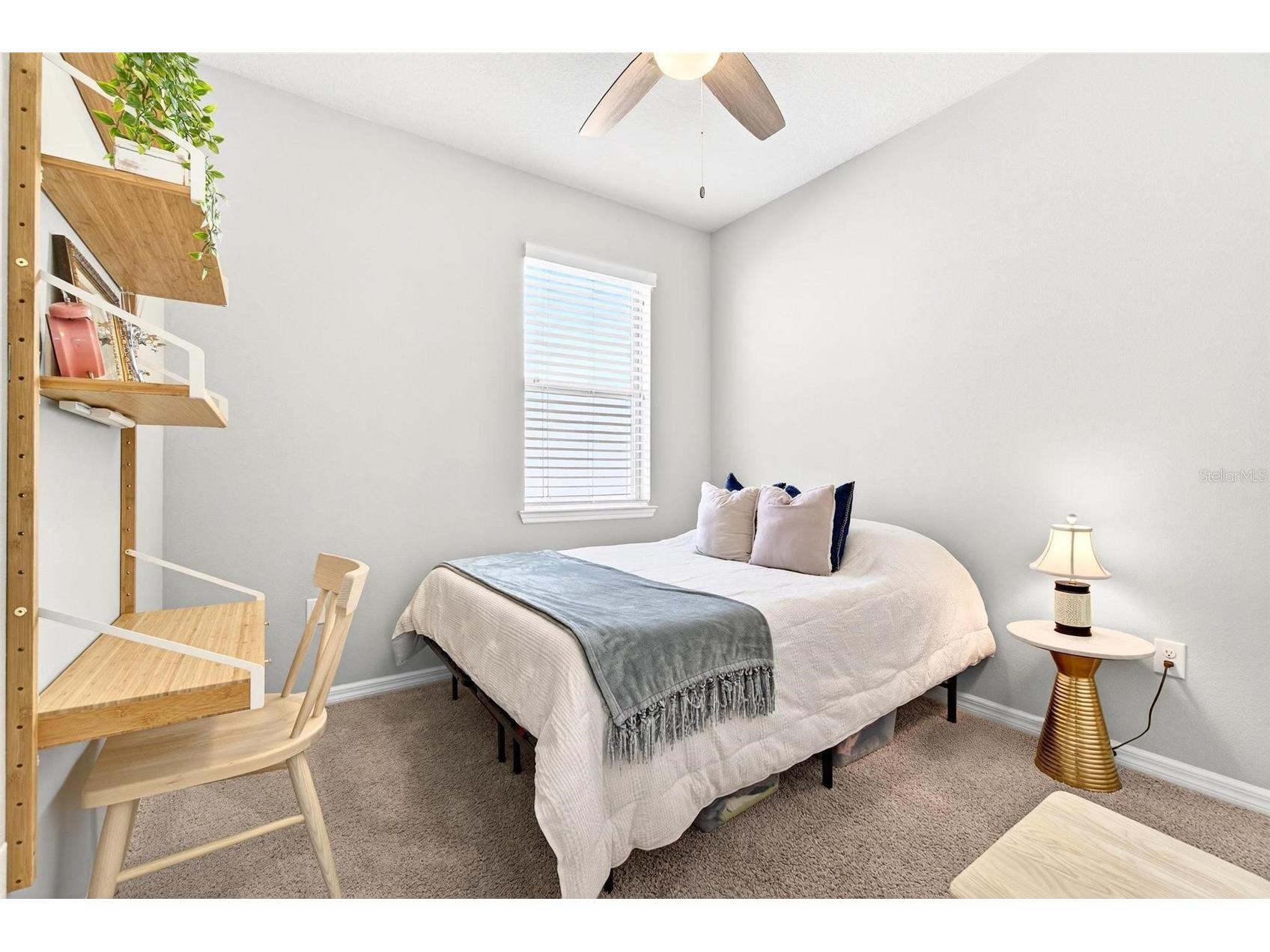 18744 Birchwood Groves Drive Lutz FL 33558 TB8509220 image35