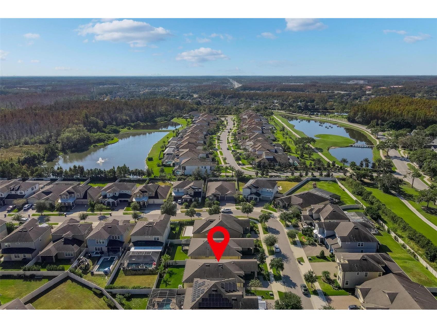18744 Birchwood Groves Drive Lutz FL 33558 TB8509220 image45