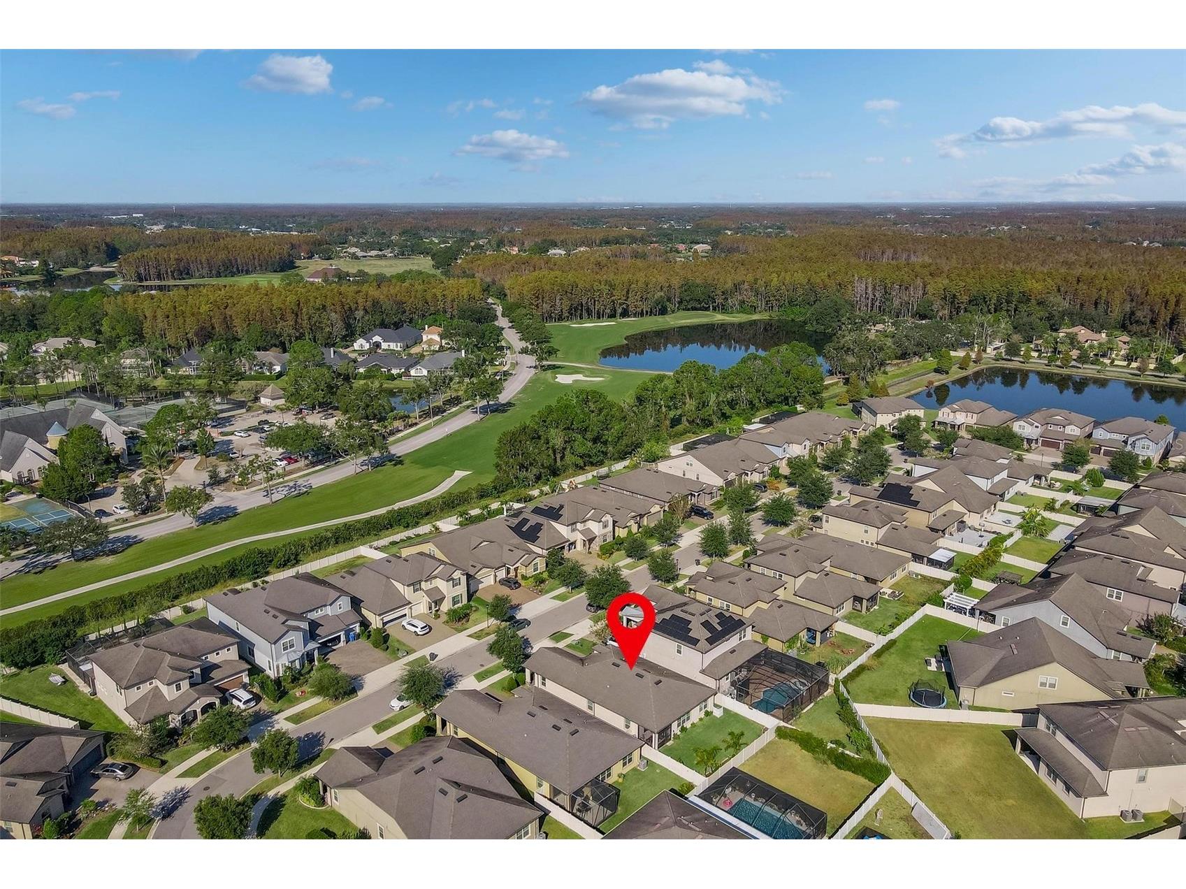 18744 Birchwood Groves Drive Lutz FL 33558 TB8509220 image46