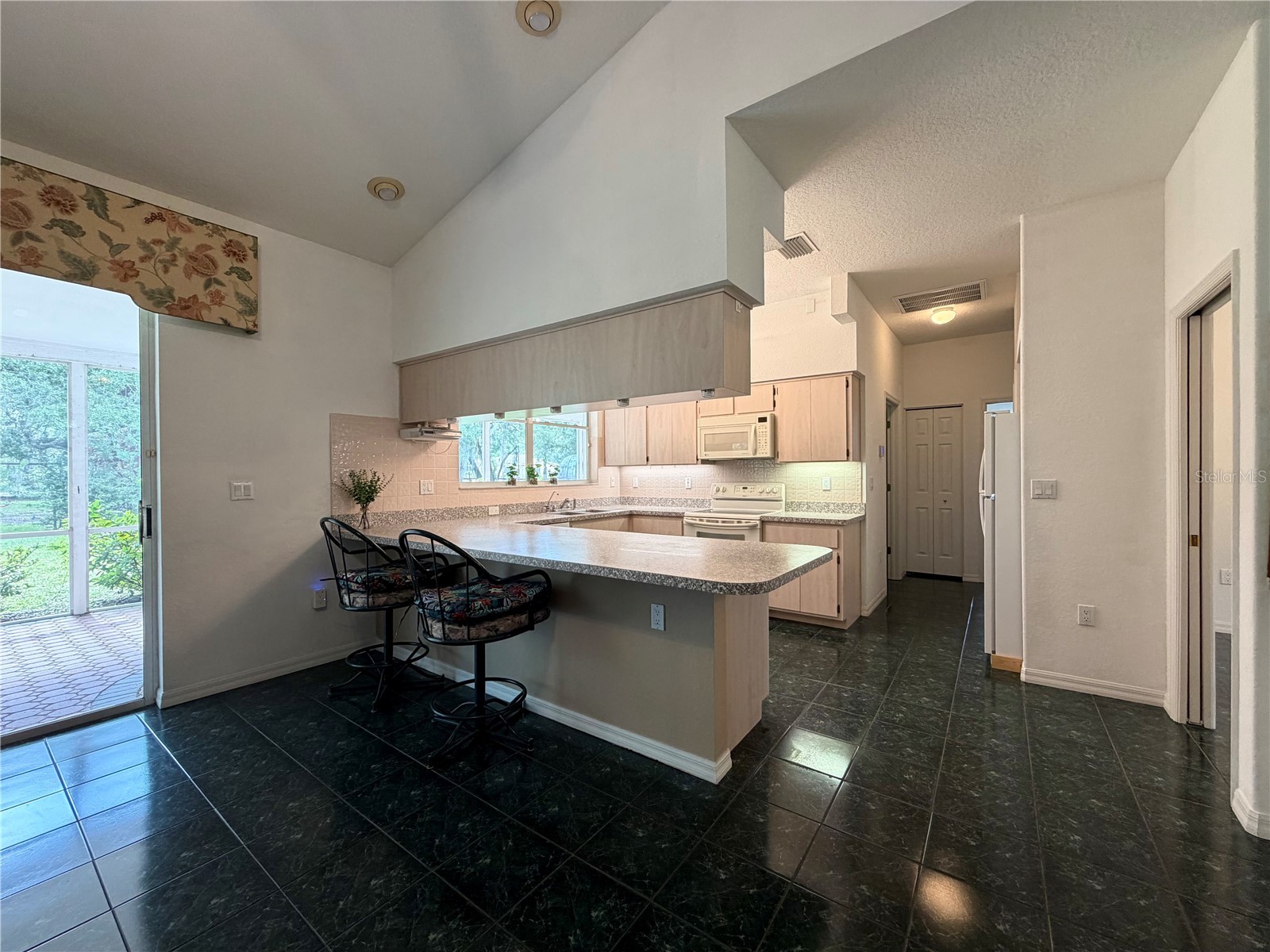 18749 Lansford Drive Hudson FL 34667 V4949193 image14