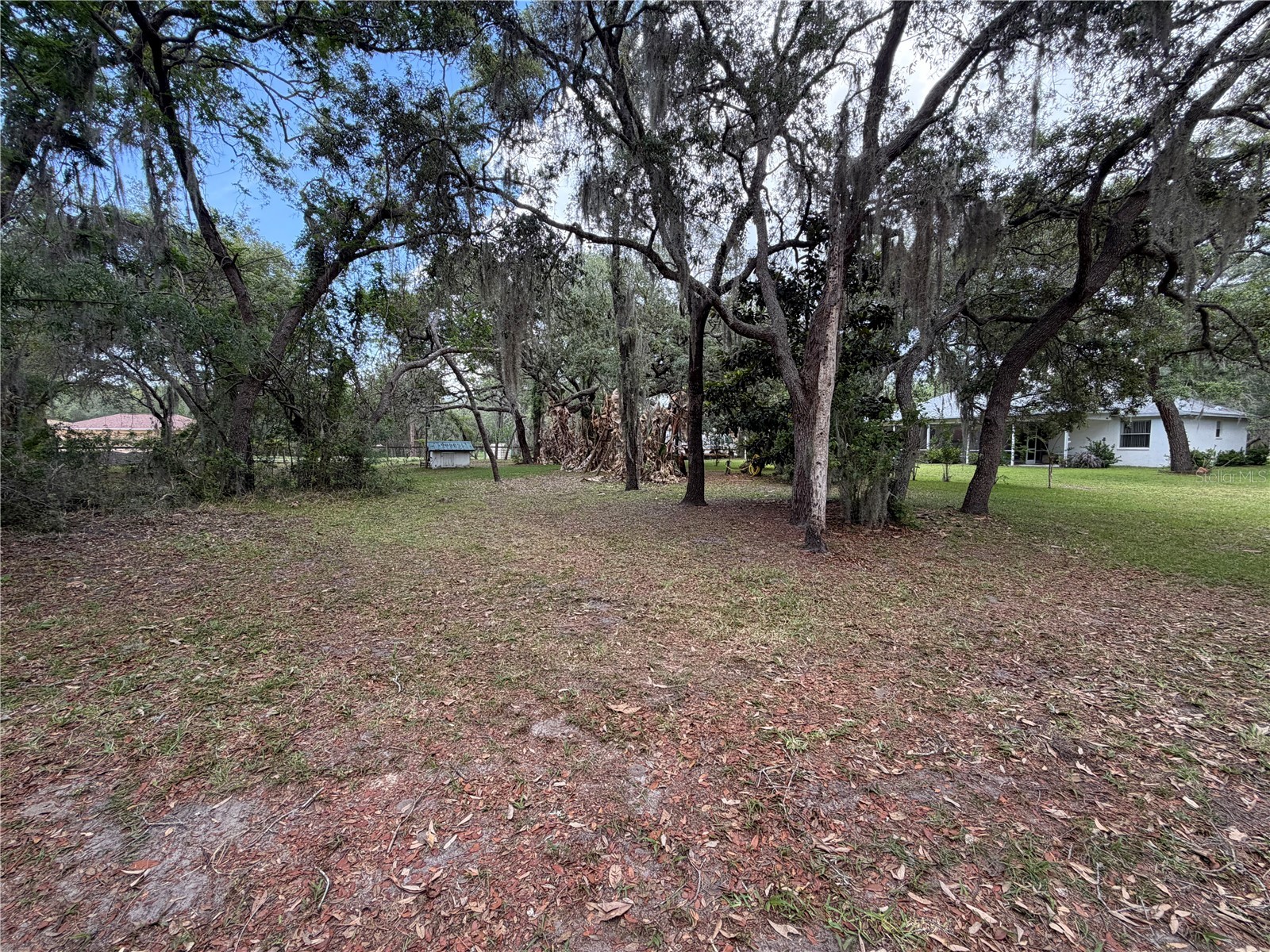 18749 Lansford Drive Hudson FL 34667 V4949193 image47