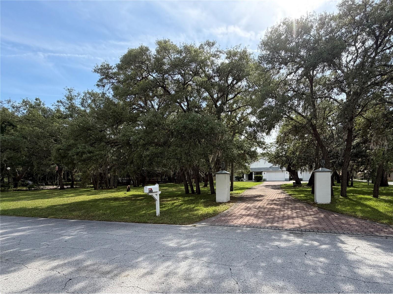 18749 Lansford Drive Hudson FL 34667 V4949193 image5