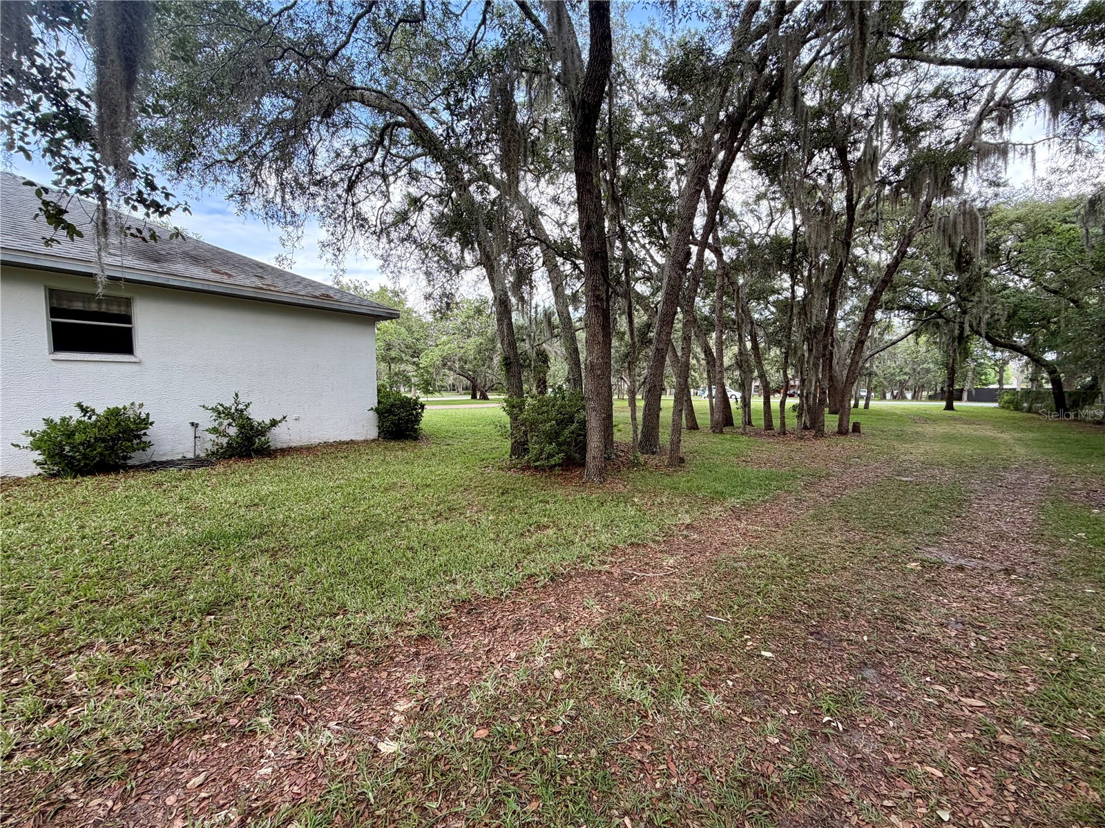18749 Lansford Drive Hudson FL 34667 V4949193 image52