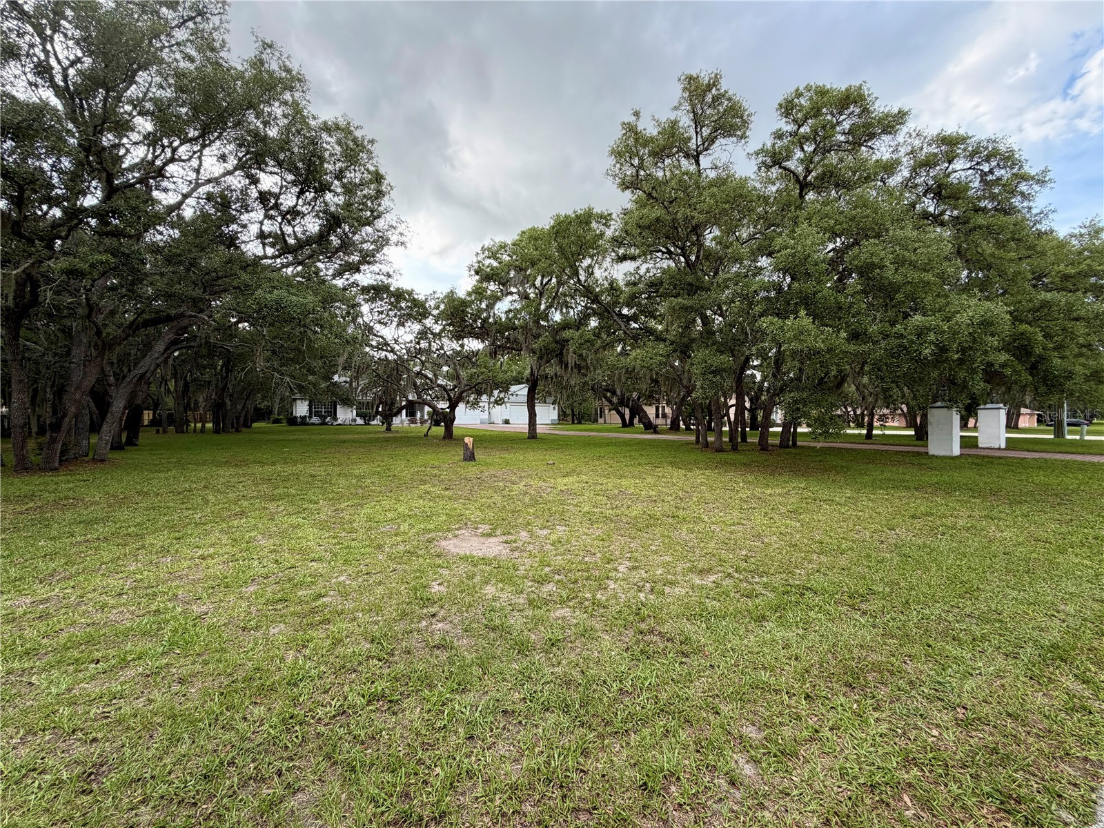 18749 Lansford Drive Hudson FL 34667 V4949193 image6