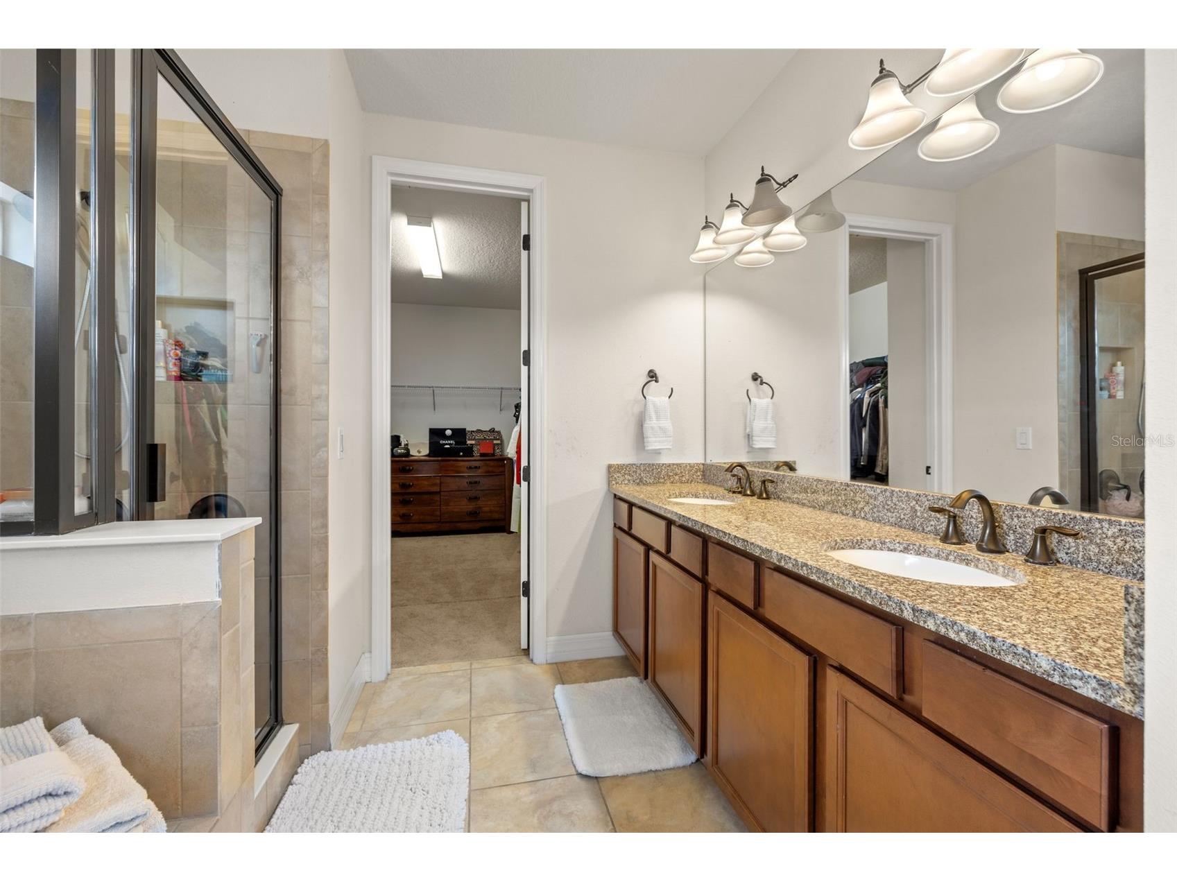 18754 Birchwood Groves Drive Lutz FL 33558 TB8462105 image21