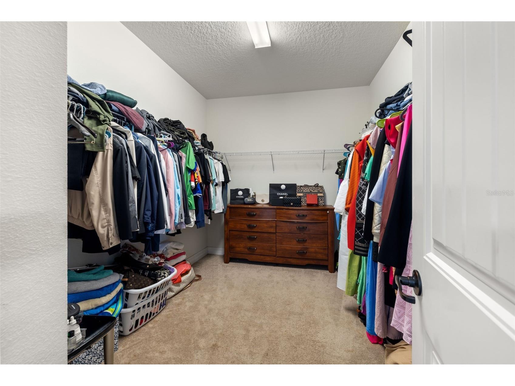 18754 Birchwood Groves Drive Lutz FL 33558 TB8462105 image23