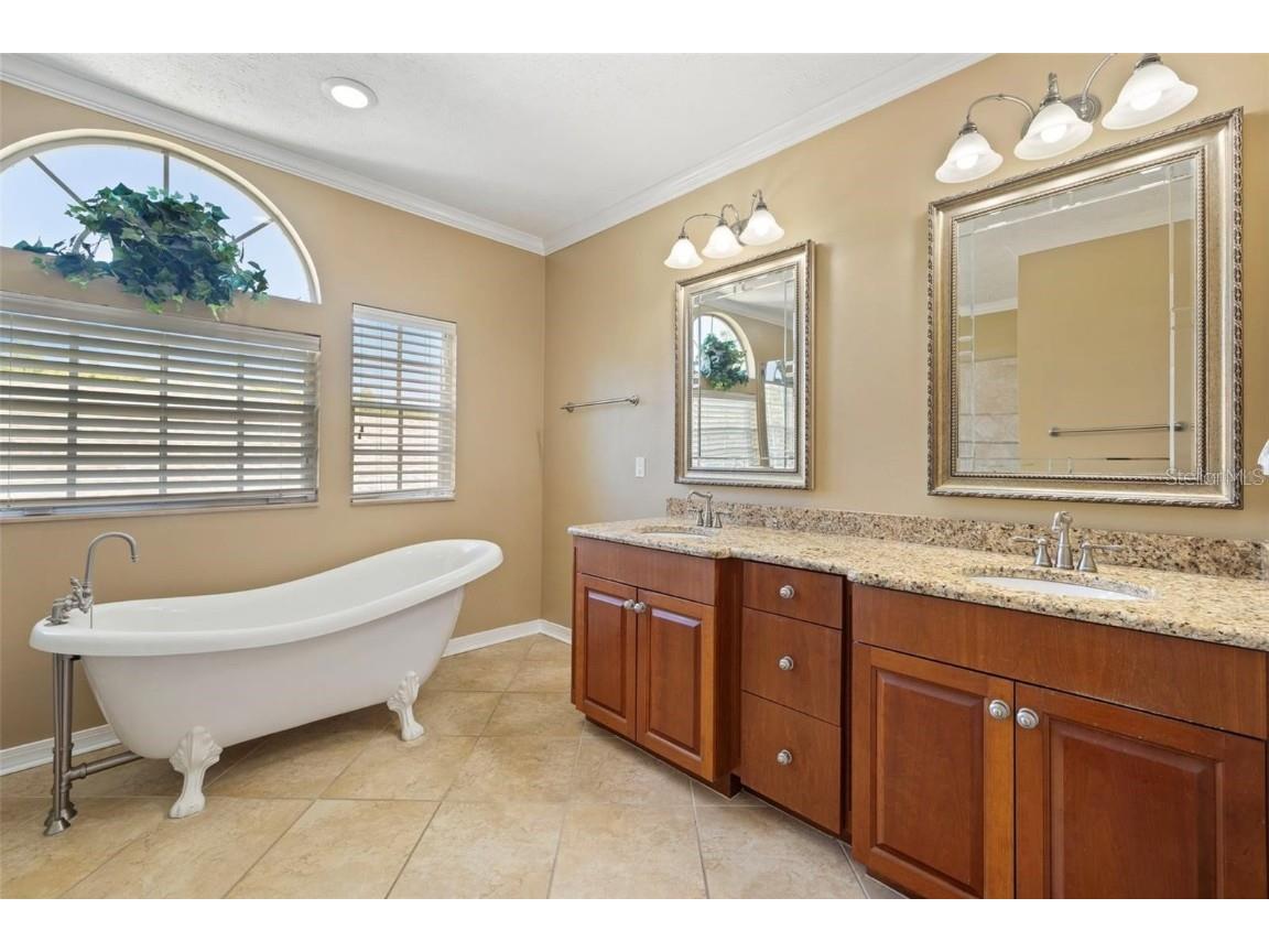 18756 Wimbledon Circle Lutz FL 33558 TB8443488 image37