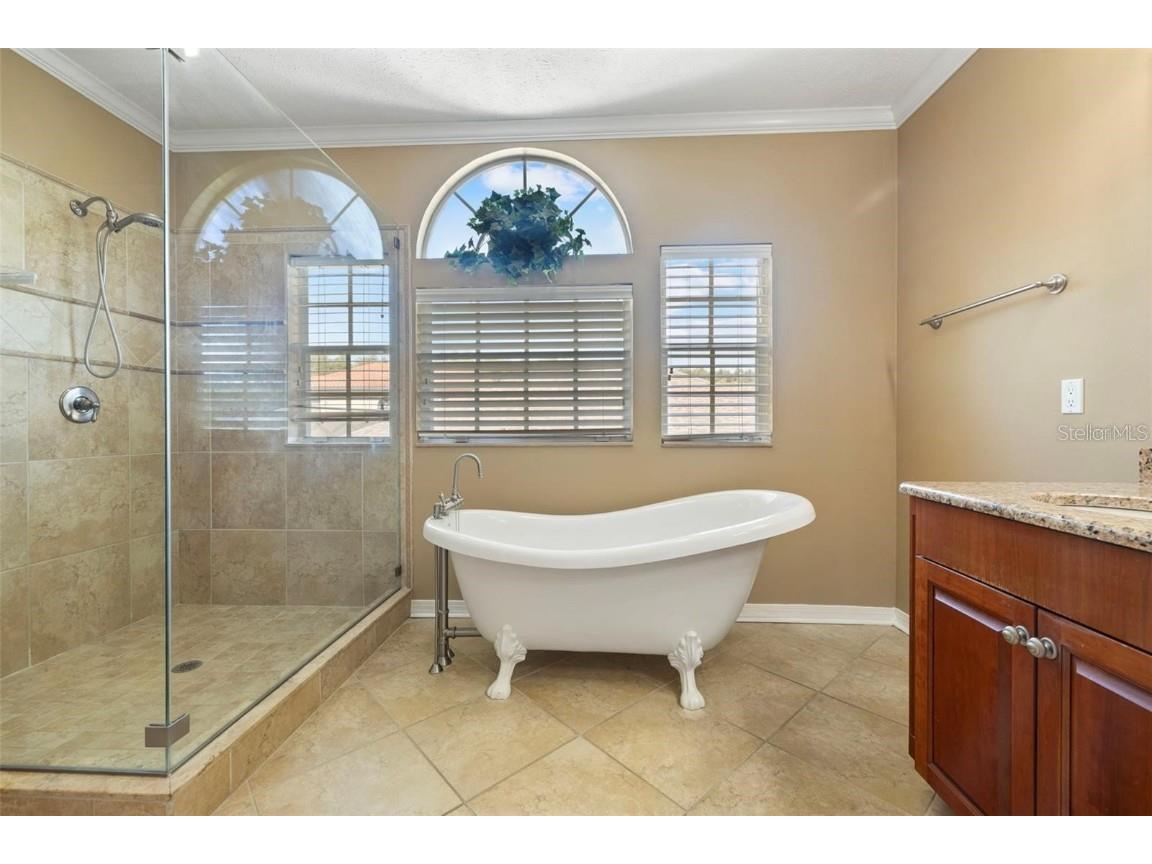 18756 Wimbledon Circle Lutz FL 33558 TB8443488 image38