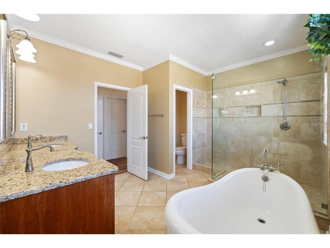 18756 Wimbledon Circle Lutz FL 33558 TB8443488 image39