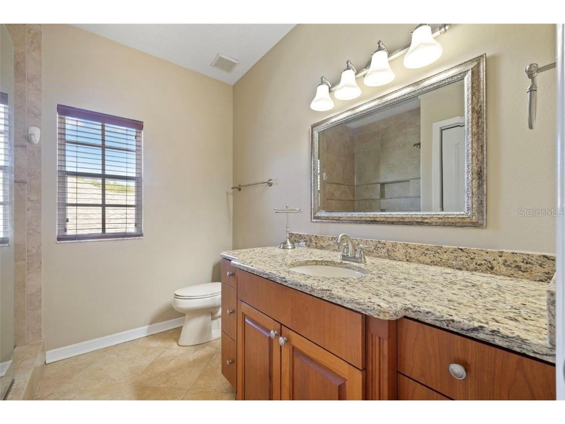 18756 Wimbledon Circle Lutz FL 33558 TB8443488 image46