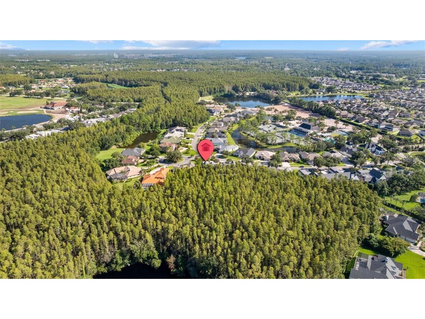 18756 Wimbledon Circle Lutz FL 33558 TB8443488 image60