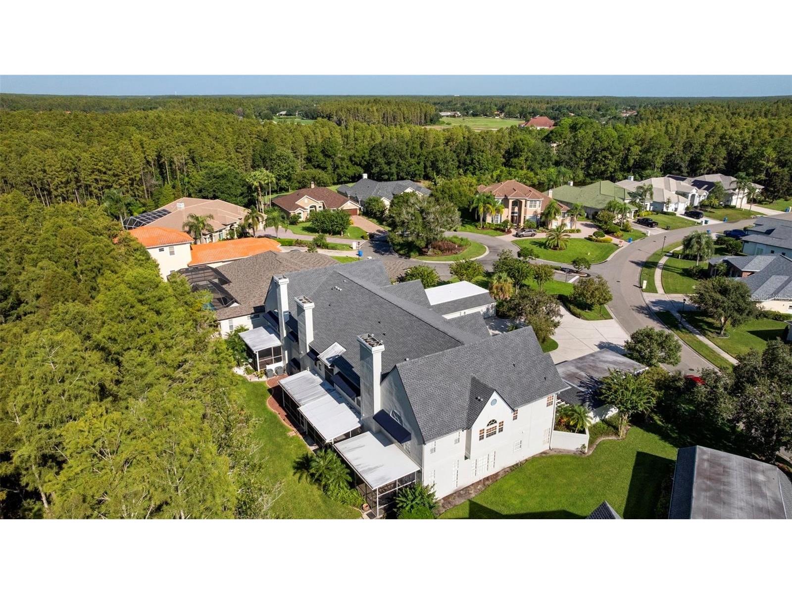 18756 Wimbledon Circle Lutz FL 33558 TB8480209 image2