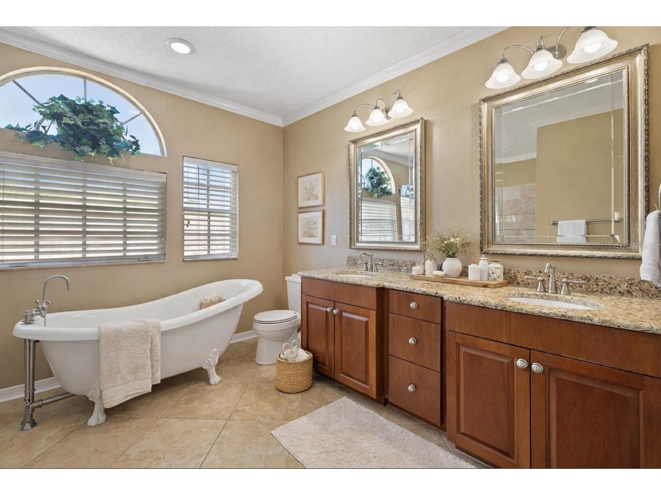 18756 Wimbledon Circle Lutz FL 33558 TB8480209 image31