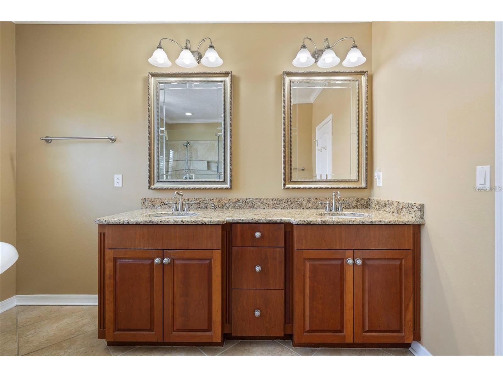 18756 Wimbledon Circle Lutz FL 33558 TB8480209 image32