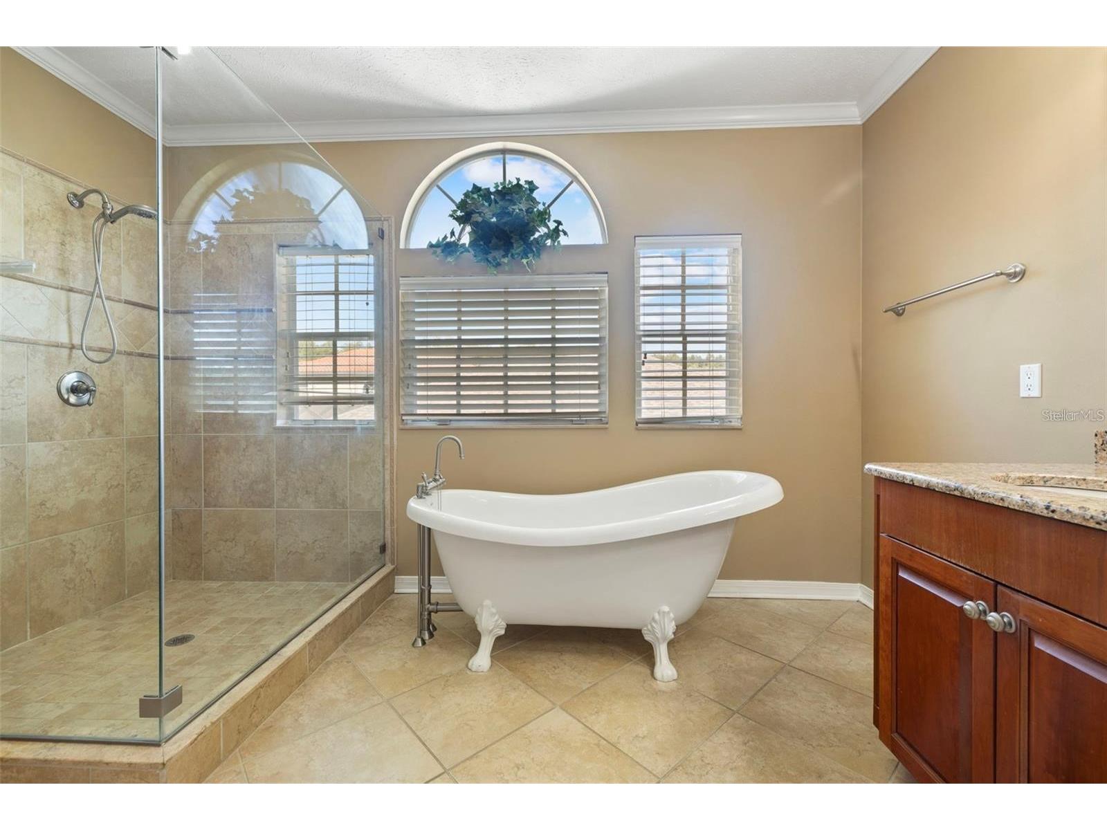 18756 Wimbledon Circle Lutz FL 33558 TB8480209 image33