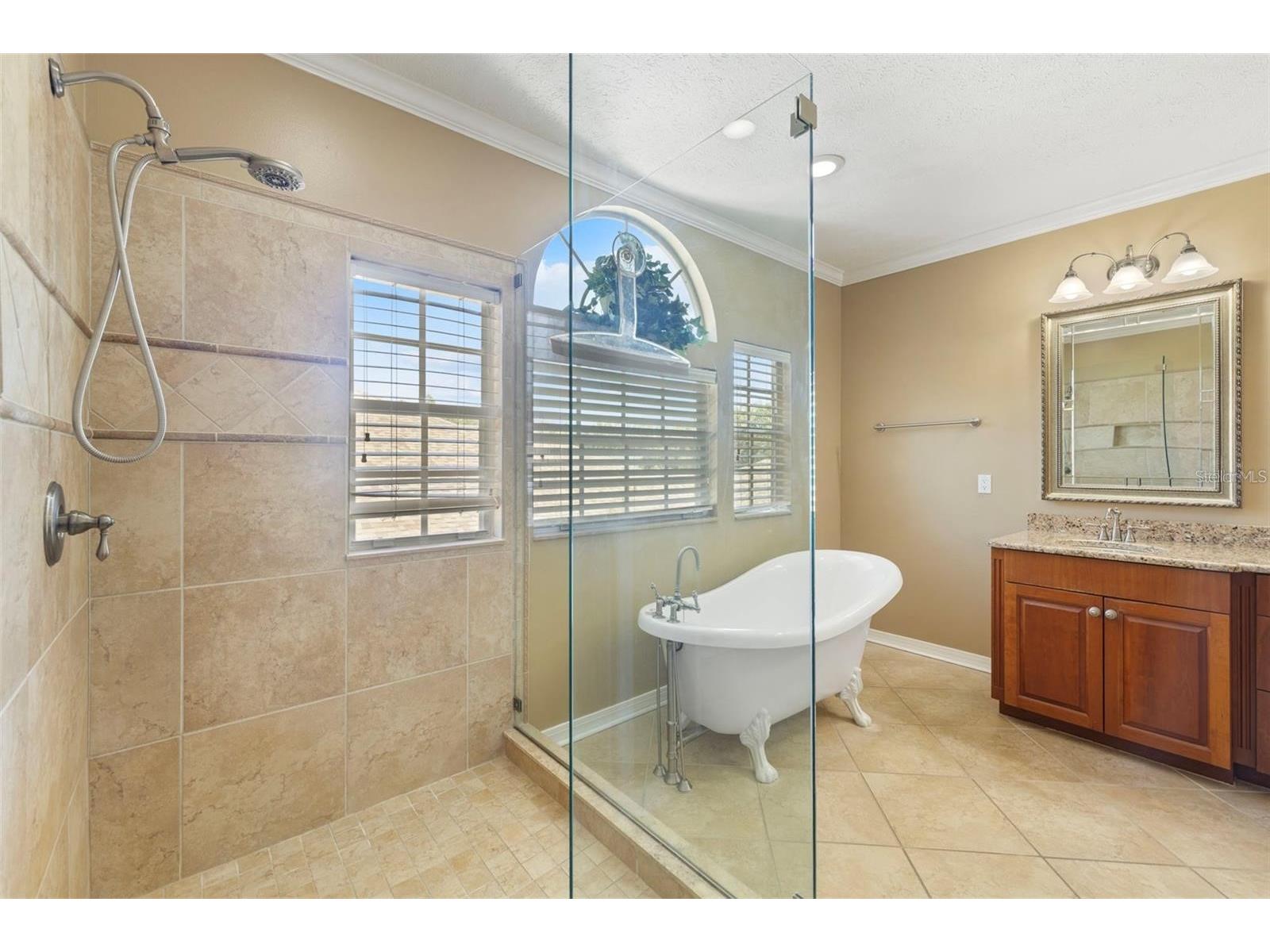 18756 Wimbledon Circle Lutz FL 33558 TB8480209 image35