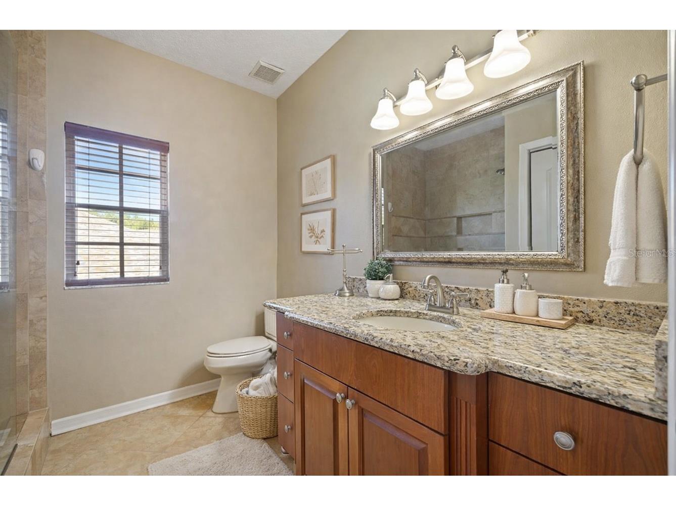 18756 Wimbledon Circle Lutz FL 33558 TB8480209 image38