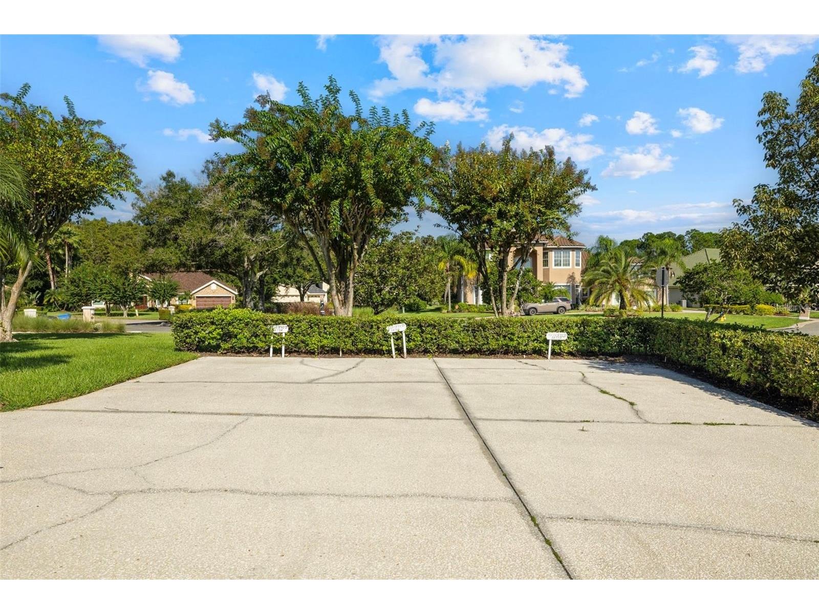 18756 Wimbledon Circle Lutz FL 33558 TB8480209 image46