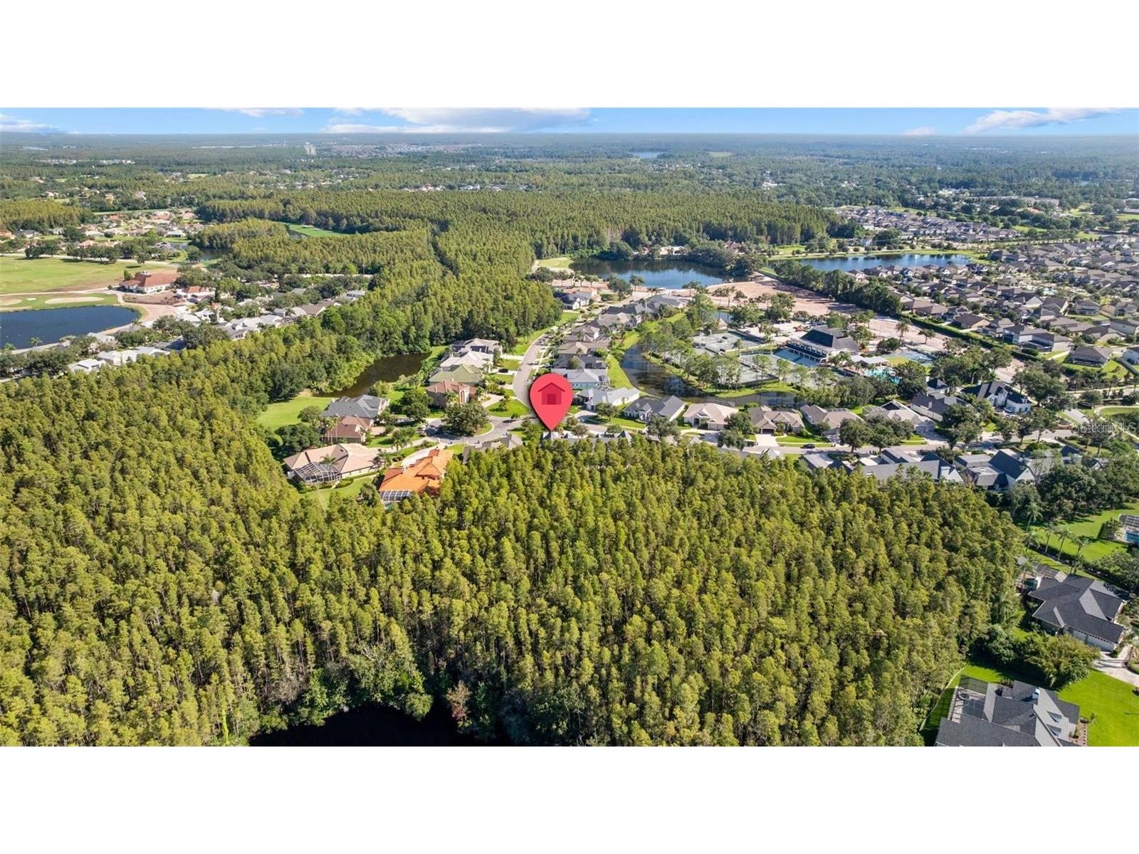 18756 Wimbledon Circle Lutz FL 33558 TB8480209 image49