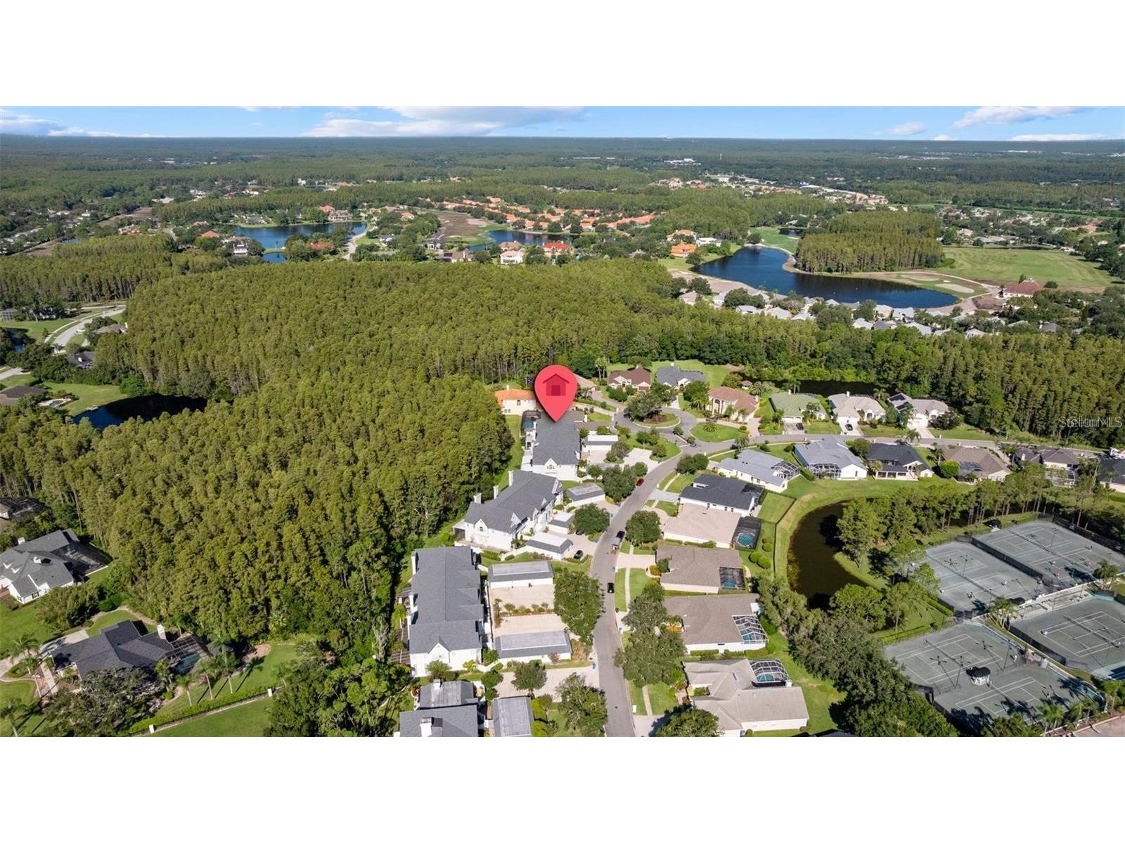18756 Wimbledon Circle Lutz FL 33558 TB8480209 image50