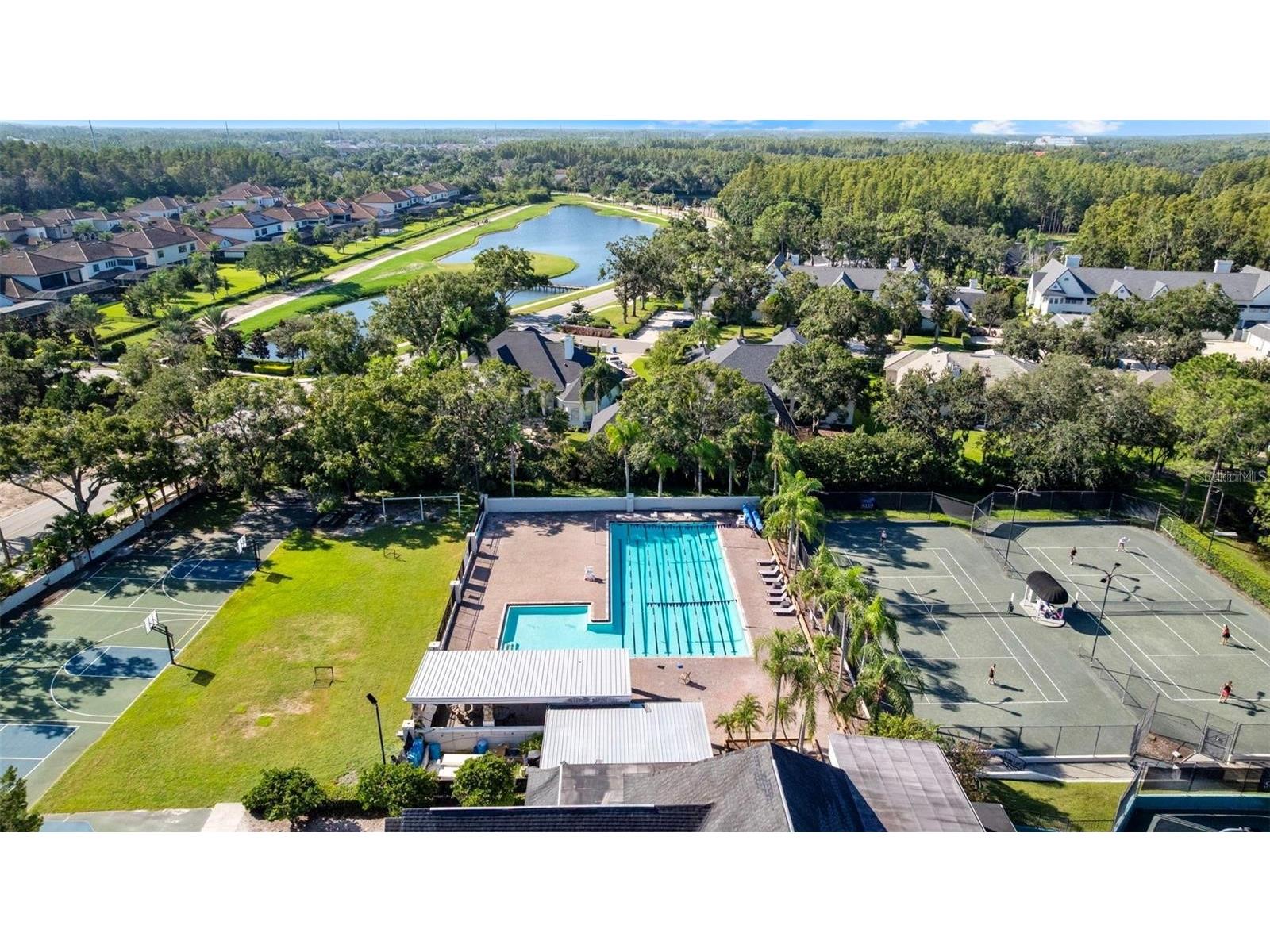 18756 Wimbledon Circle Lutz FL 33558 TB8480209 image62