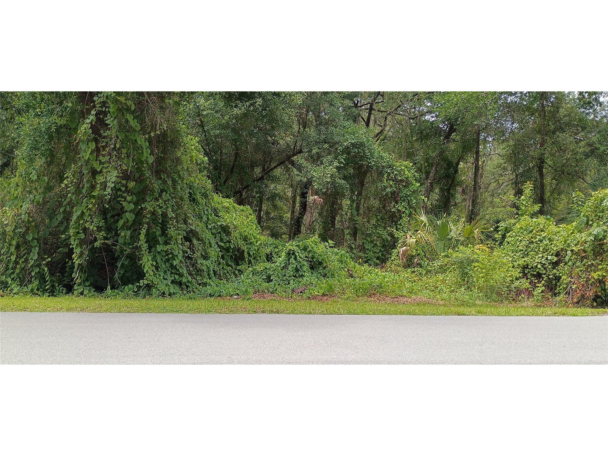 1876 Blackwelder Road De Leon Springs FL 32130 O6420835 image2