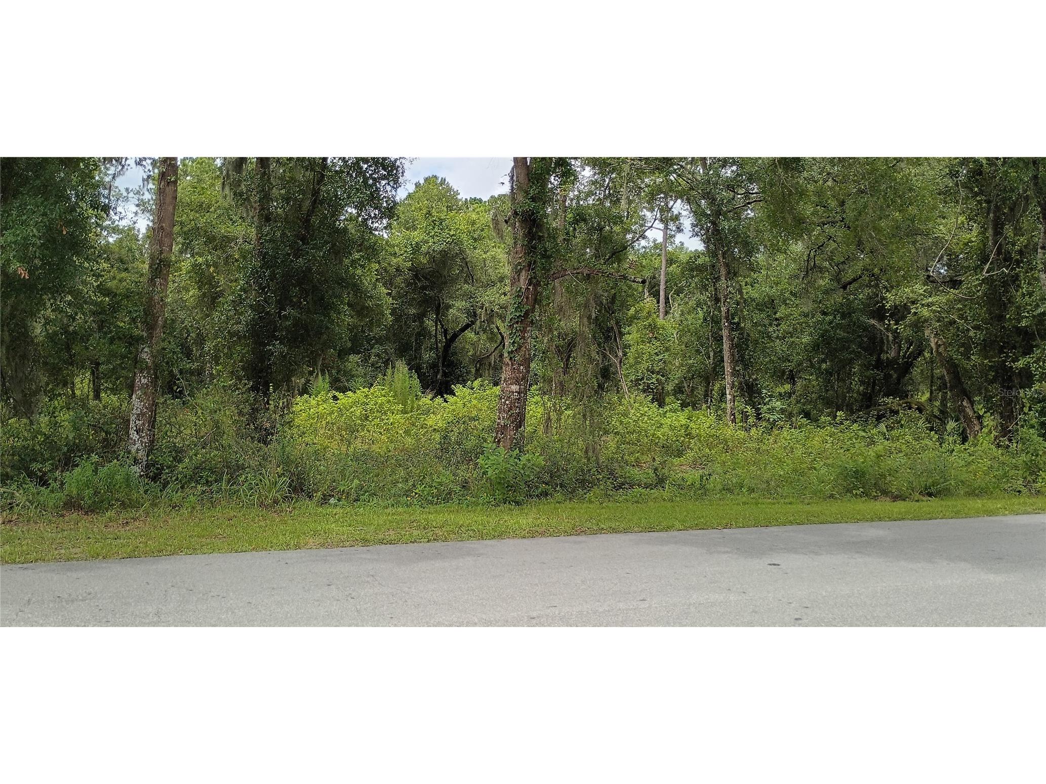 1876 Blackwelder Road De Leon Springs FL 32130 O6420835 image3