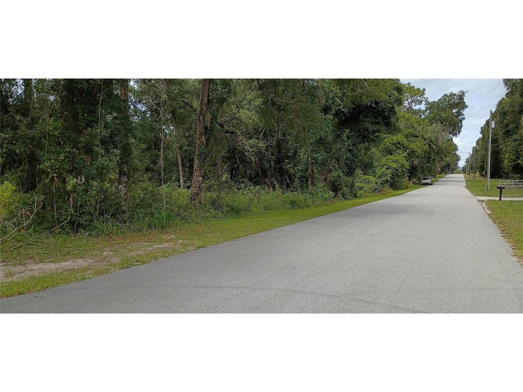 1876 Blackwelder Road De Leon Springs FL 32130 O6420835 image4