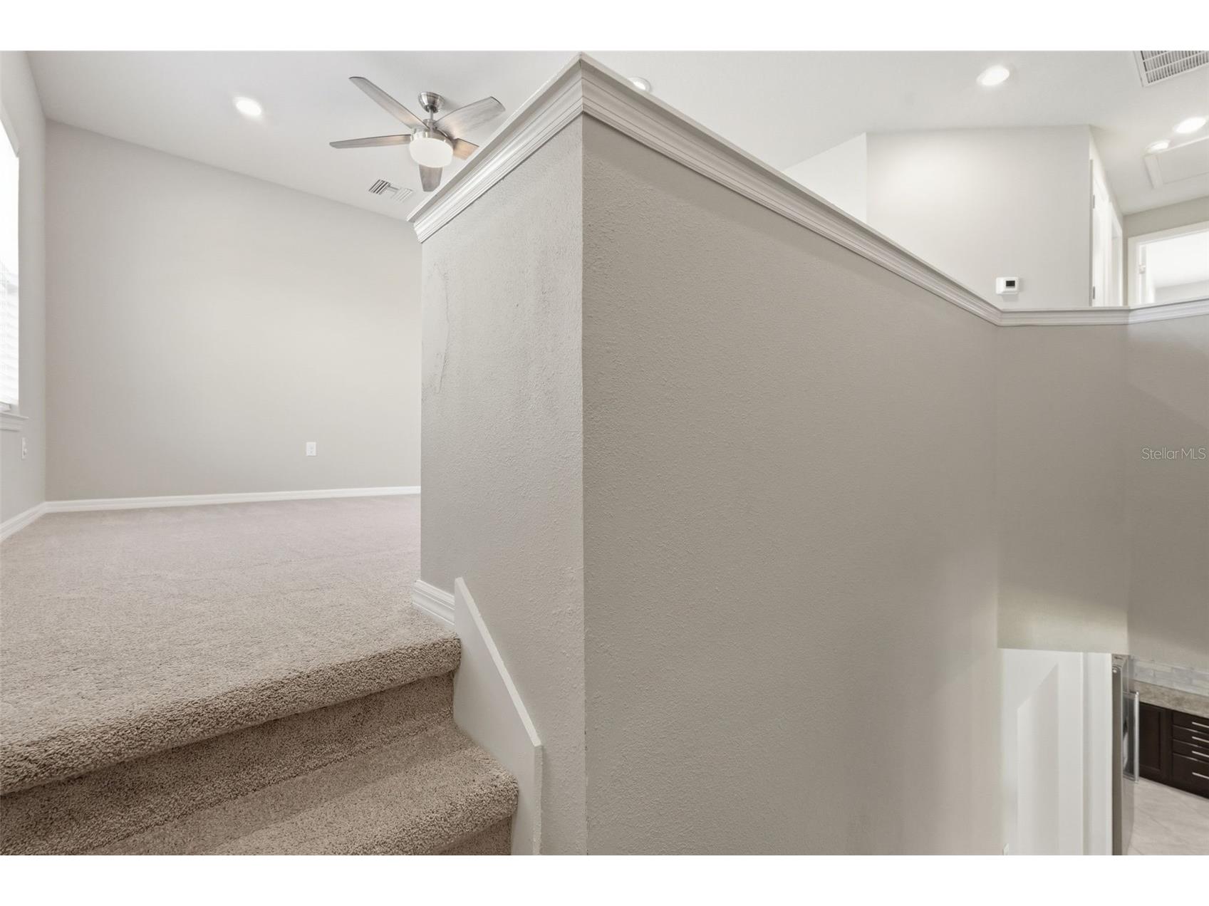 18760 Birchwood Groves Drive Lutz FL 33558 TB8502426 image37