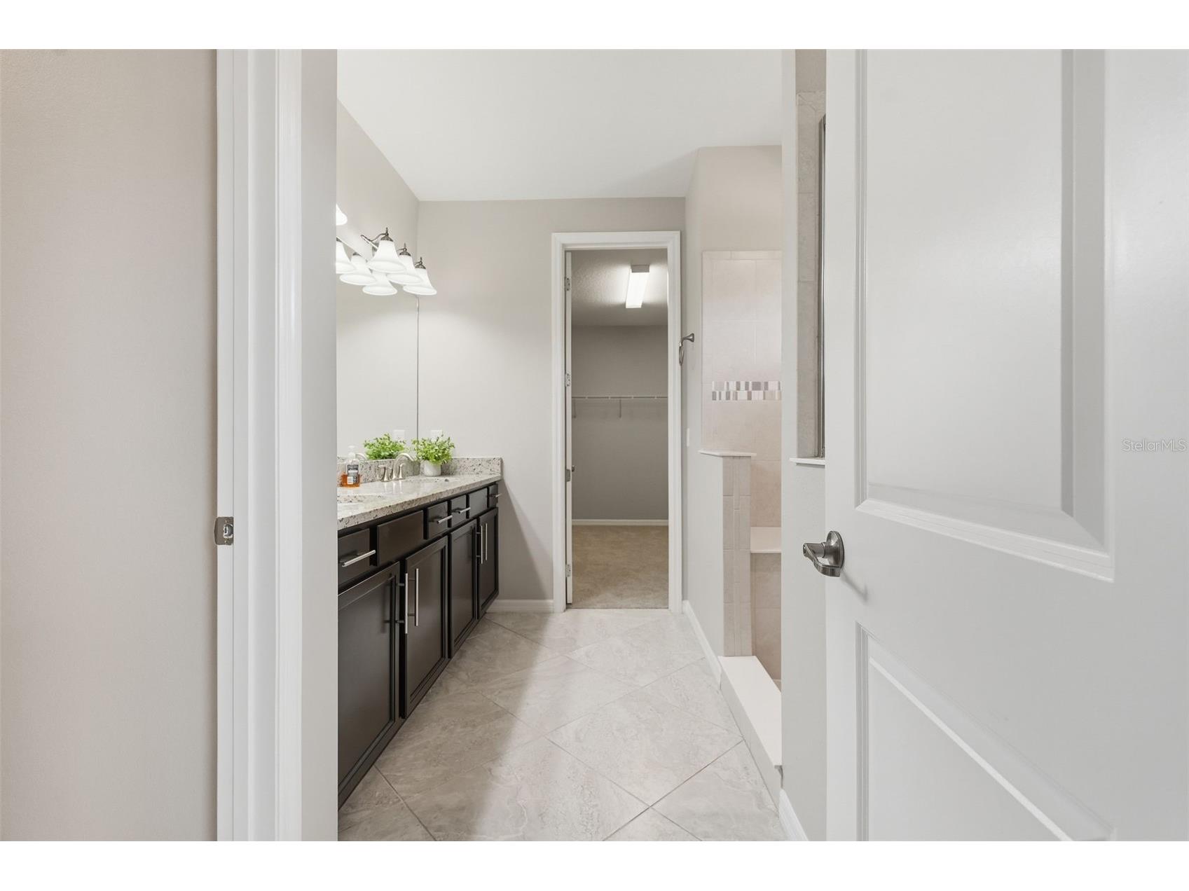 18760 Birchwood Groves Drive Lutz FL 33558 TB8502426 image47