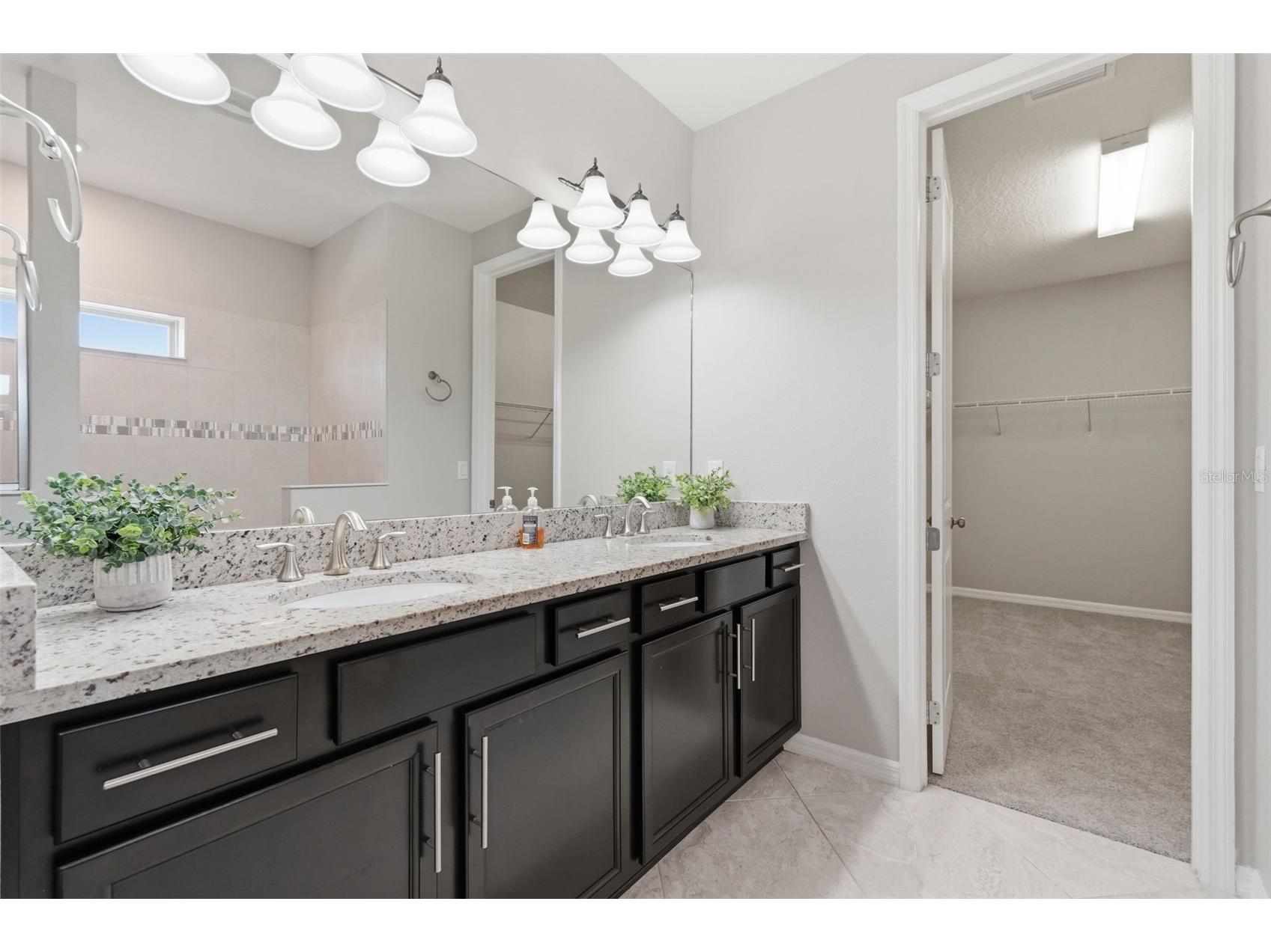 18760 Birchwood Groves Drive Lutz FL 33558 TB8502426 image48