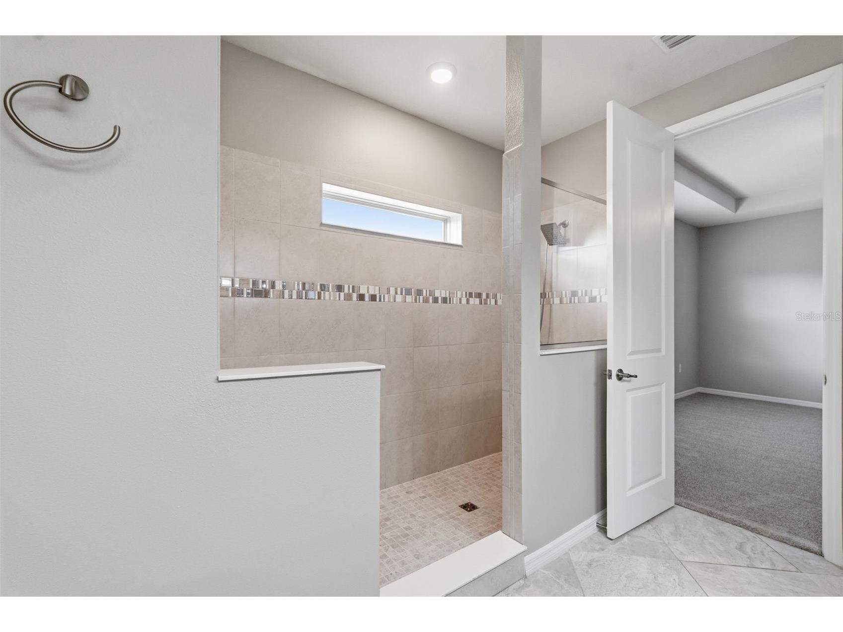 18760 Birchwood Groves Drive Lutz FL 33558 TB8502426 image49