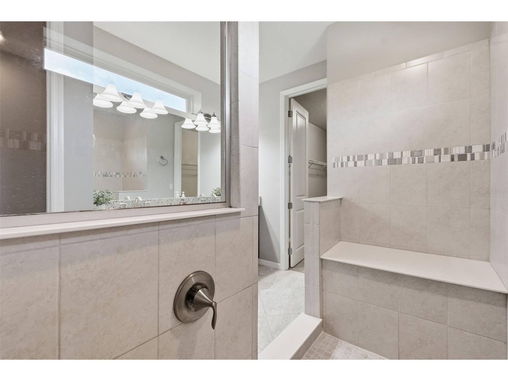 18760 Birchwood Groves Drive Lutz FL 33558 TB8502426 image51