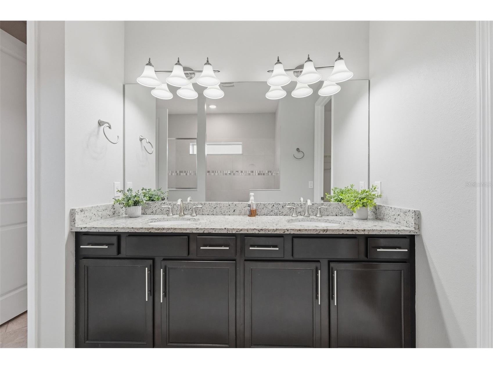 18760 Birchwood Groves Drive Lutz FL 33558 TB8502426 image52