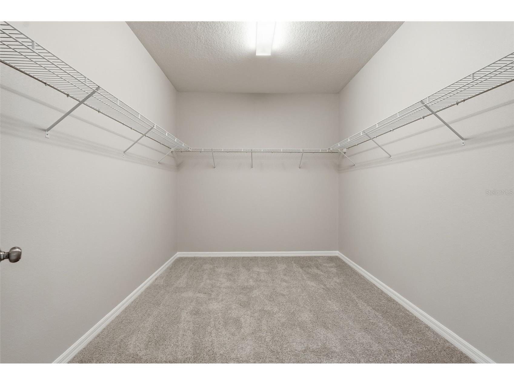 18760 Birchwood Groves Drive Lutz FL 33558 TB8502426 image53