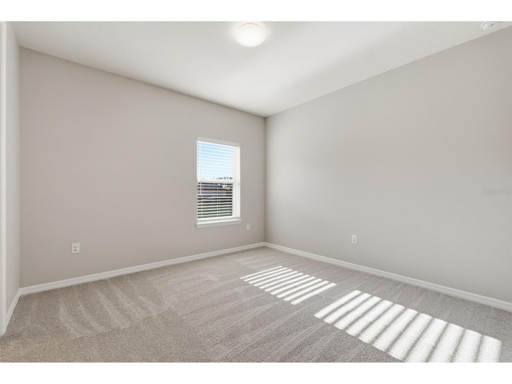 18760 Birchwood Groves Drive Lutz FL 33558 TB8502426 image55