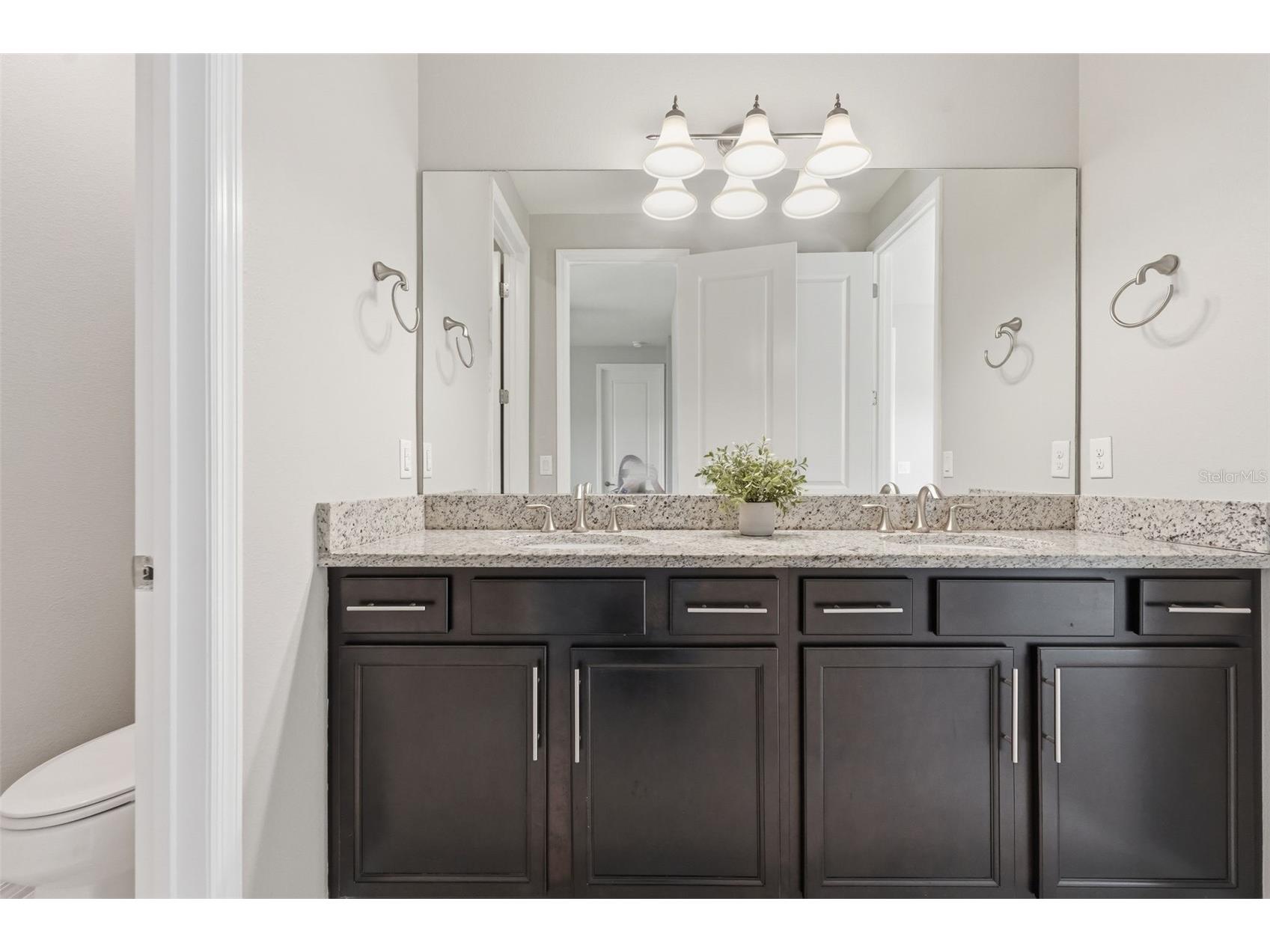 18760 Birchwood Groves Drive Lutz FL 33558 TB8502426 image59