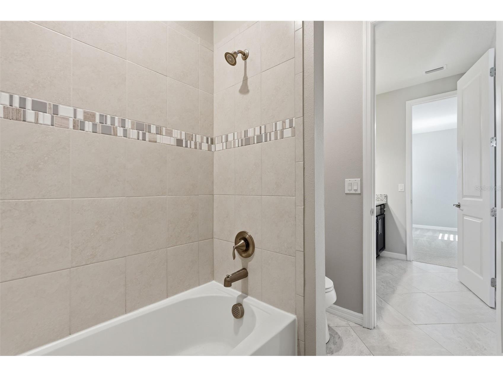 18760 Birchwood Groves Drive Lutz FL 33558 TB8502426 image61