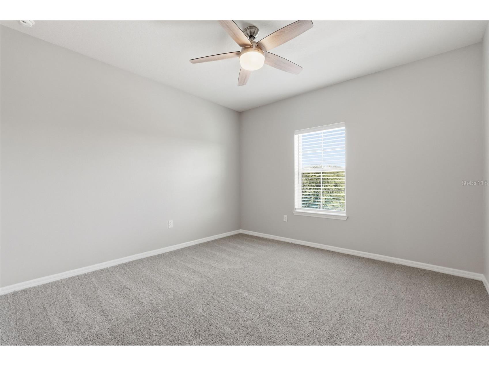 18760 Birchwood Groves Drive Lutz FL 33558 TB8502426 image66