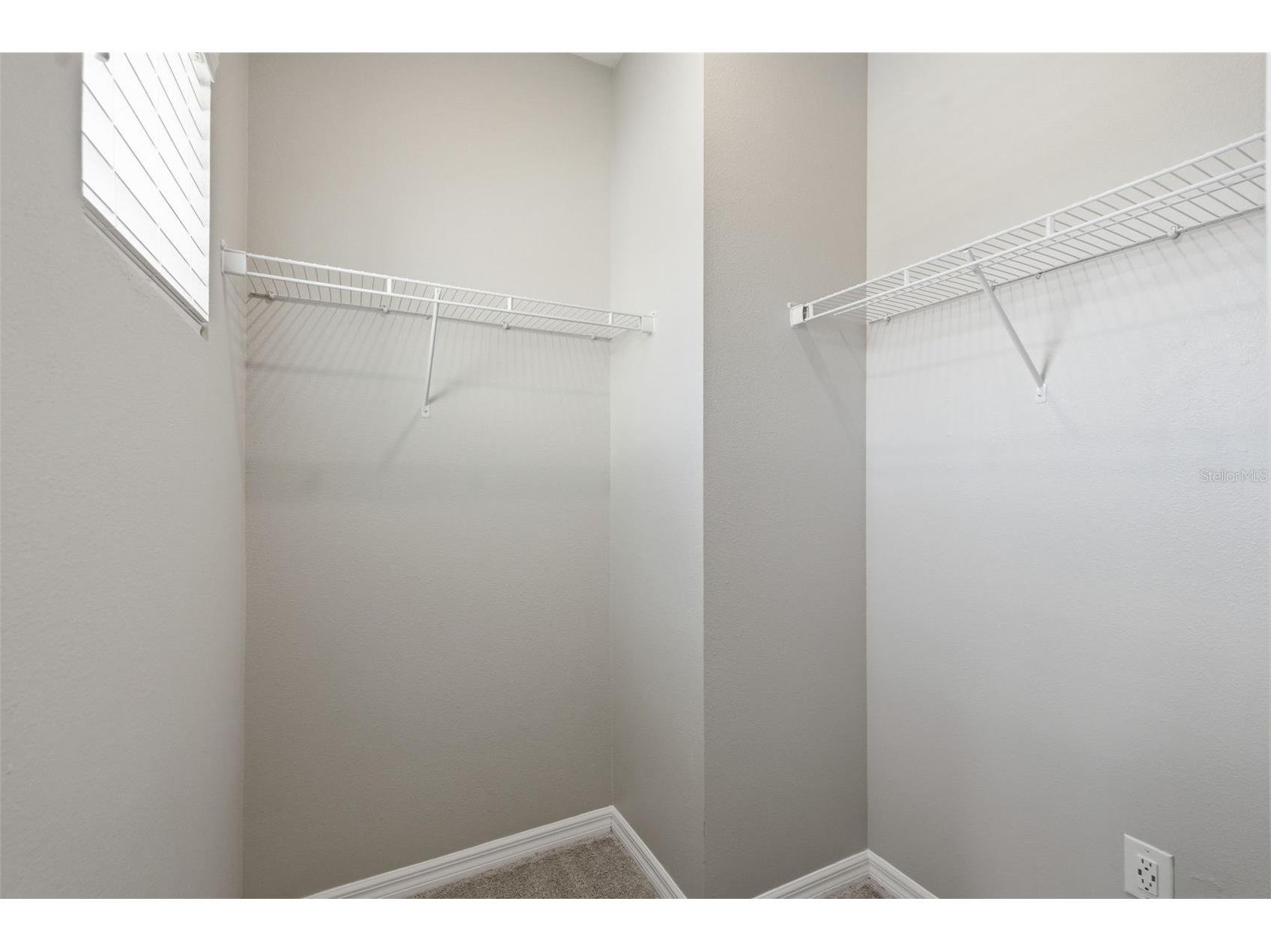 18760 Birchwood Groves Drive Lutz FL 33558 TB8502426 image69