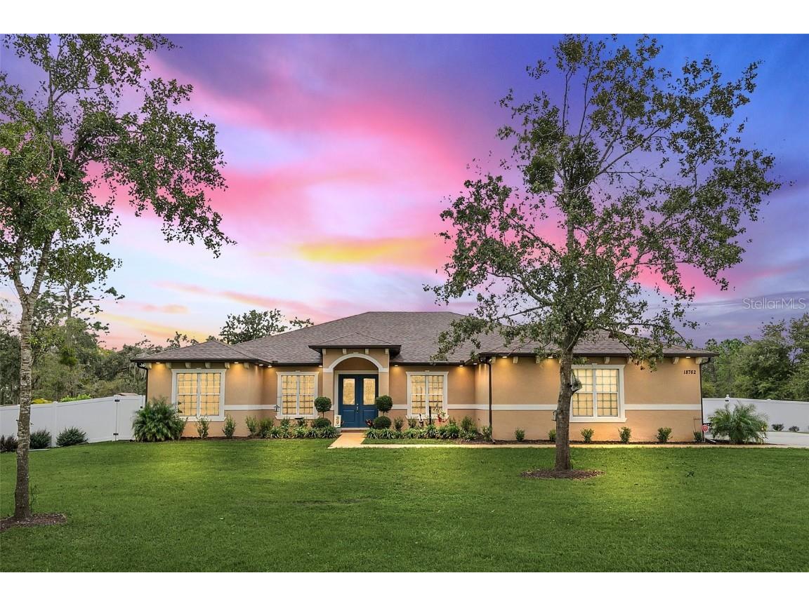 18762 Tunbridge Street Orlando FL 32833 O6158292 image1