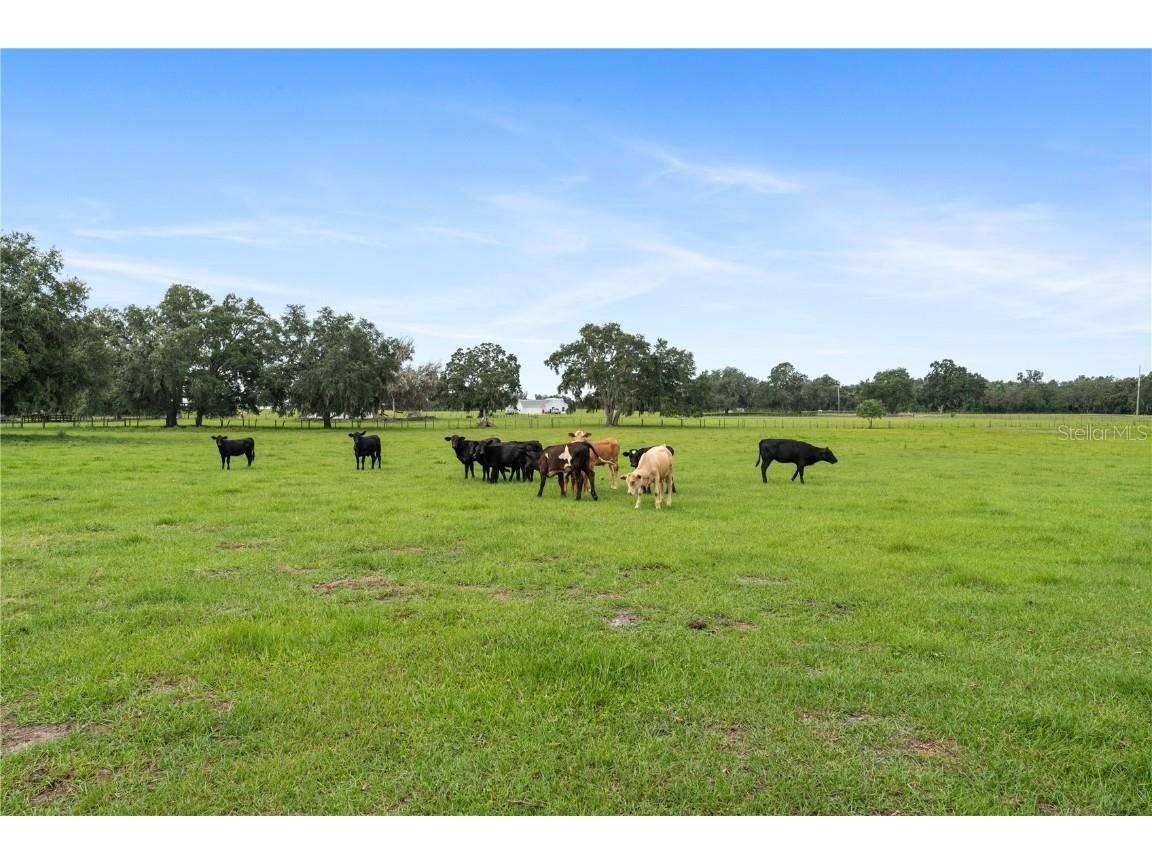 1877 C 478a Webster FL 33597 G5098916 image6