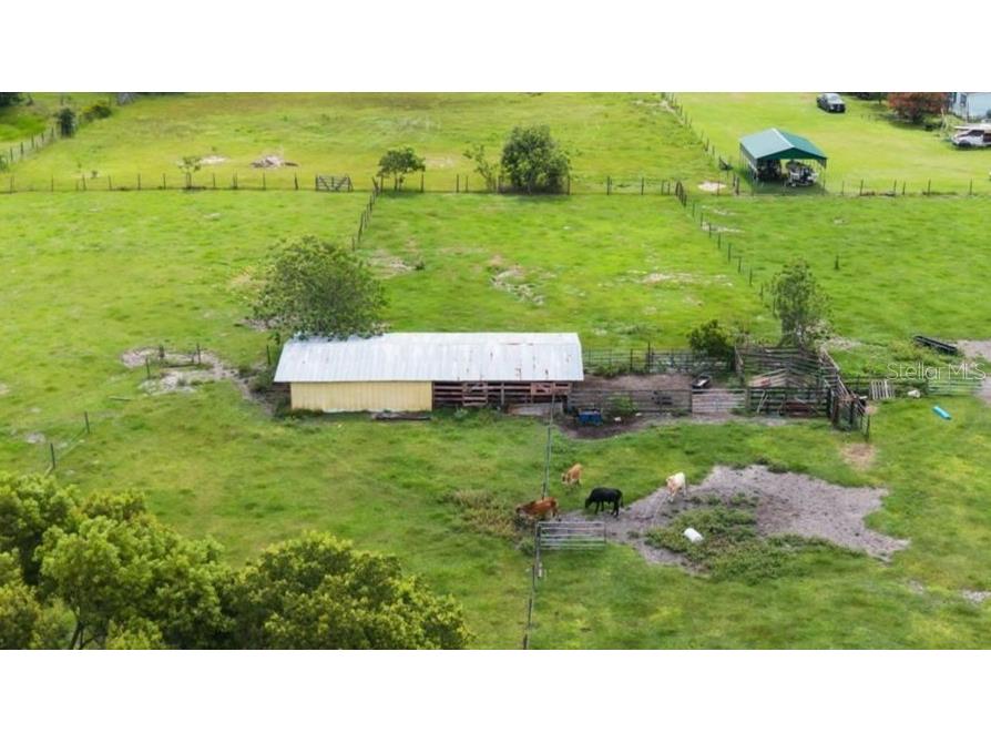 1877 C 478a Webster FL 33597 G5098916 image9